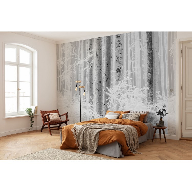 ΦΩΤΟΤΑΠΕΤΣΑΡΙΑ ΤΟΙΧΟΥ KOMAR R4-043 WINTER WOOD 400x280 ΦΩΤΟΤΑΠΕΤΣΑΡΙΑ ΤΟΙΧΟΥ KOMAR R4-043 WINTER WOOD 400x280