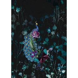 ΦΩΤΟΤΑΠΕΤΣΑΡΙΑ ΤΟΙΧΟΥ ΦΛΟΡΑΛ 30-TD4129 200x280 ΦΩΤΟΤΑΠΕΤΣΑΡΙΑ ΤΟΙΧΟΥ ΦΛΟΡΑΛ 30-TD4129 200x280