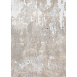 ΦΩΤΟΤΑΠΕΤΣΑΡΙΑ ΤΟΙΧΟΥ PASSION FOR MATERIALS INK7372 200x280