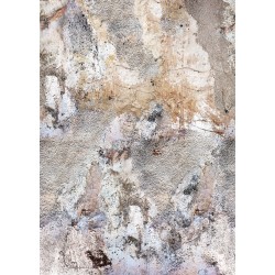 ΦΩΤΟΤΑΠΕΤΣΑΡΙΑ ΤΟΙΧΟΥ PASSION FOR MATERIALS INK7390 200x280