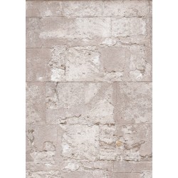 ΦΩΤΟΤΑΠΕΤΣΑΡΙΑ ΤΟΙΧΟΥ PASSION FOR MATERIALS INK7401 200x280