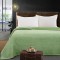 Beauty Home Κουβέρτα μονόχρωμη μονή Fleece Art 11552 160x220 Πράσινο