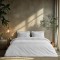 Beauty Home Ζεύγος μαξιλαροθήκες μονόχρωμες Art 1700 Harmony 52x73 Λευκό