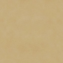 Βινυλική Πλάκα Tarkett Inspiration 55 - 24522083 Fibra Natural