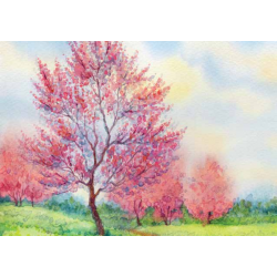 ROLLER BLIND ΨΗΦΙΑΚΗΣ ΕΚΤΥΠΩΣΗΣ E277