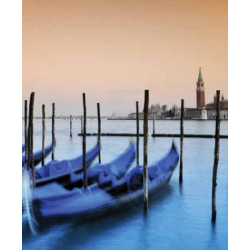 ROLLER BLIND ΨΗΦΙΑΚΗΣ ΕΚΤΥΠΩΣΗΣ E529