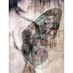 ROLLER BLIND ΨΗΦΙΑΚΗΣ ΕΚΤΥΠΩΣΗΣ E293