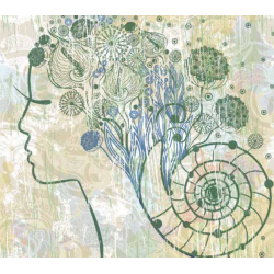 ROLLER BLIND ΨΗΦΙΑΚΗΣ ΕΚΤΥΠΩΣΗΣ E295