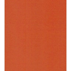 ΣΤΟΡΙ ROLLER BLIND ΟΛΙΚΗΣ ΣΚΙΑΣΗΣ Z977