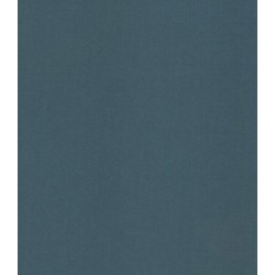 ΣΤΟΡΙ ROLLER BLIND ΜΟΝΟΧΡΩΜΟ Α421