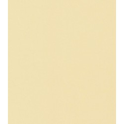 ΣΤΟΡΙ ROLLER BLIND ΜΟΝΟΧΡΩΜΟ Α309