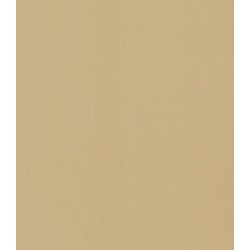 ΣΤΟΡΙ ROLLER BLIND ΜΟΝΟΧΡΩΜΟ Α310