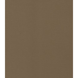 ΣΤΟΡΙ ROLLER BLIND ΜΟΝΟΧΡΩΜΟ Α311