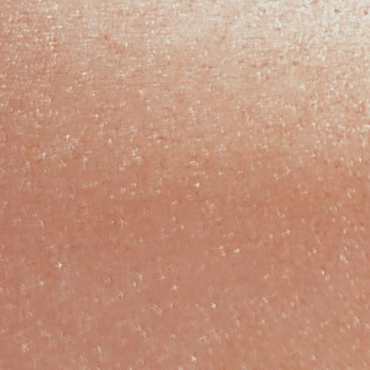 Μεταλλική Περσίδα 25-154 25mm Μεταλλική Περσίδα 25-154 25mm