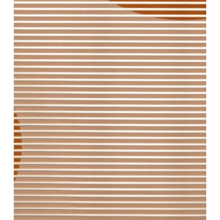 ΣΤΟΡΙ ROLLER BLIND ΜΕ ΠΑΡΑΣΤΑΣΕΙΣ K310 ΣΤΟΡΙ ROLLER BLIND ΜΕ ΠΑΡΑΣΤΑΣΕΙΣ K310