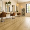 ΠΛΑΣΤΙΚΟ ΔΑΠΕΔΟ TITAN  602L WILLOW OAK 4M NewPlan