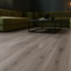 ΠΛΑΣΤΙΚΟ ΔΑΠΕΔΟ TITAN  969M WILLOW OAK 4M NewPlan