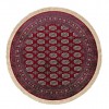 ΧΑΛΙ SONIA 248/301220 R - 160X160  NewPlan