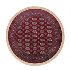 ΧΑΛΙ SONIA 248/301220 R - 160X160  NewPlan