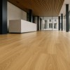 ΠΛΑΣΤΙΚΟ ΔΑΠΕΔΟ TRENTO 263L HONEY OAK 4M NewPlan