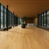 ΠΛΑΣΤΙΚΟ ΔΑΠΕΔΟ TRENTO 263L HONEY OAK 4M NewPlan