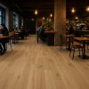 ΠΛΑΣΤΙΚΟ ΔΑΠΕΔΟ TITAN  662M WILLOW OAK 4M NewPlan