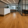 ΠΛΑΣΤΙΚΟ ΔΑΠΕΔΟ TITAN  1000 CAMEO 4M NewPlan