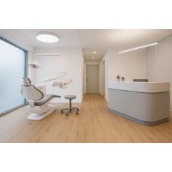 CLASSIC LVT ΒΙΝΥΛΙΚΗ ΛΩΡΙΔΑ 2.5mm HONEY OAK 810084 NewPlan