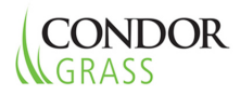 Condor Grass