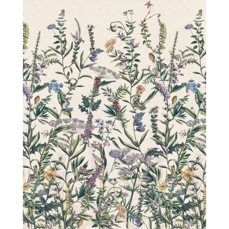X4-1011 Φωτοταπετσαρία τοίχου KOMAR Flowering Herbs 200x250cm X4-1011 Φωτοταπετσαρία τοίχου KOMAR Flowering Herbs 200x250cm
