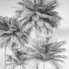 X4-1019 Φωτοταπετσαρία "Cocco" 200X250cm X4-1019 Φωτοταπετσαρία "Cocco" 200X250cm
