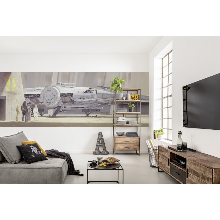 ΦΩΤΟΤΑΠΕΤΣΑΡΙΑ ΤΟΙΧΟΥ KOMAR 4-4112 STAR WARS CLASSIC RMQ MILLENIUM FALCON 368 x 127cm ΦΩΤΟΤΑΠΕΤΣΑΡΙΑ ΤΟΙΧΟΥ KOMAR 4-4112 STAR WARS CLASSIC RMQ MILLENIUM FALCON 368 x 127cm